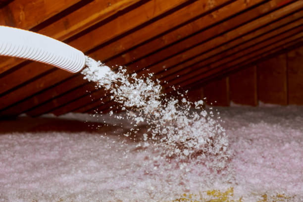 Best Insulation for Specific Applications in Caryville, TN