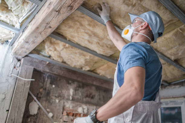 Types of Insulation We Offer in Caryville, TN